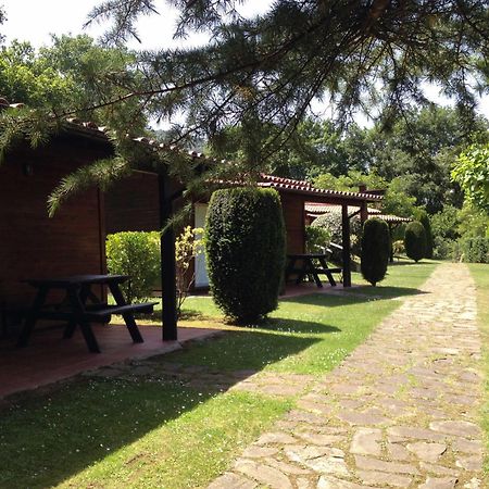 Camping Ecologic Lava Santa Pau Exteriér fotografie