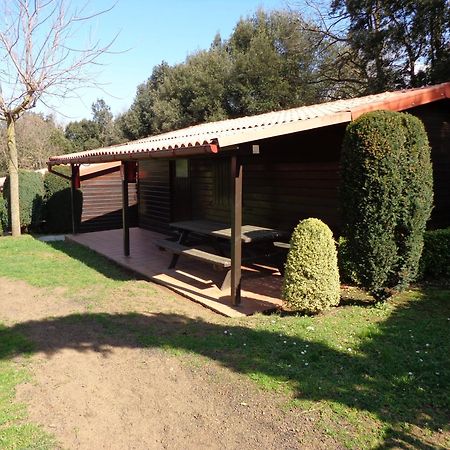 Camping Ecologic Lava Santa Pau Exteriér fotografie